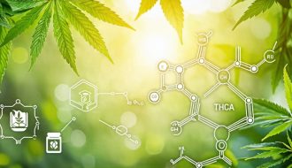 Artistic depiction of CBD and THCA chemical structures intertwined with nature elements symbolizing health and wellness, highlighting the potential benefits of these compounds for a balanced lifestyle.